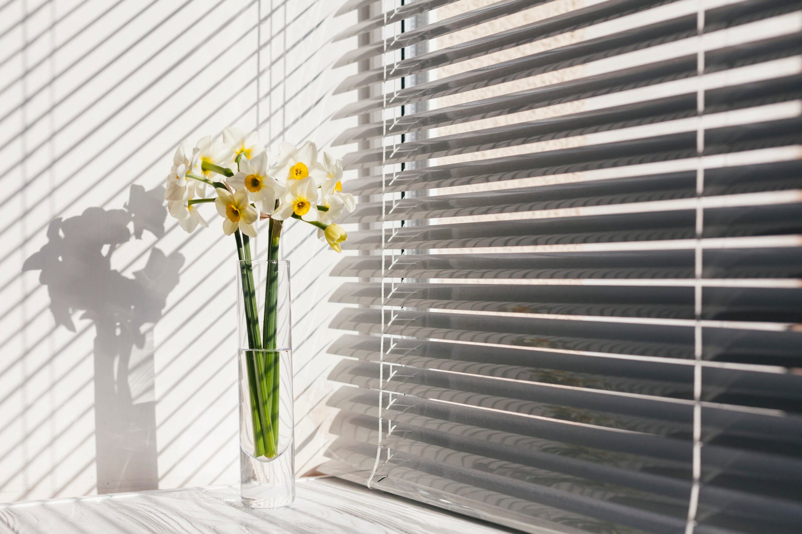 Roller, zebra, and vertical blinds