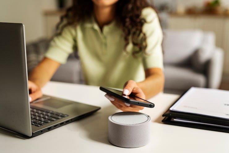 Smart Home Hub or Voice Assistant